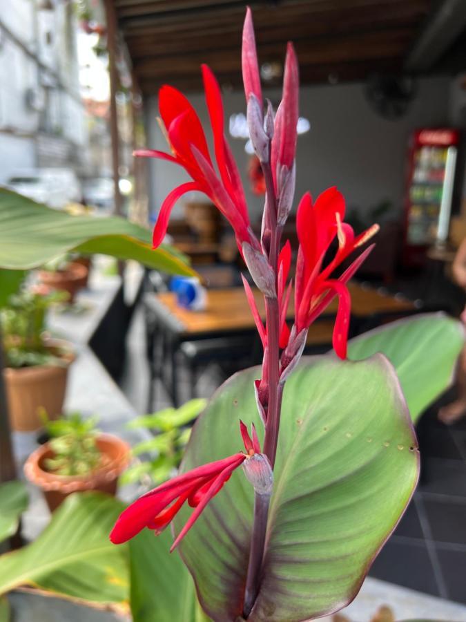 The Voyager Guesthouse Chiang Mai Zewnętrze zdjęcie